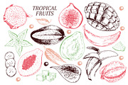 Tropical Fruits hand drawn set