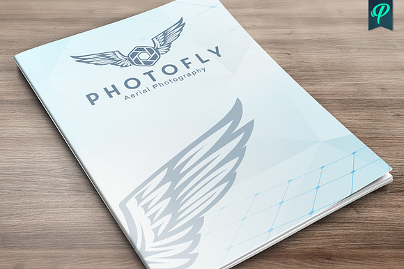 Photofly - Aerial Photography Logo in Logo Templates - product preview 1