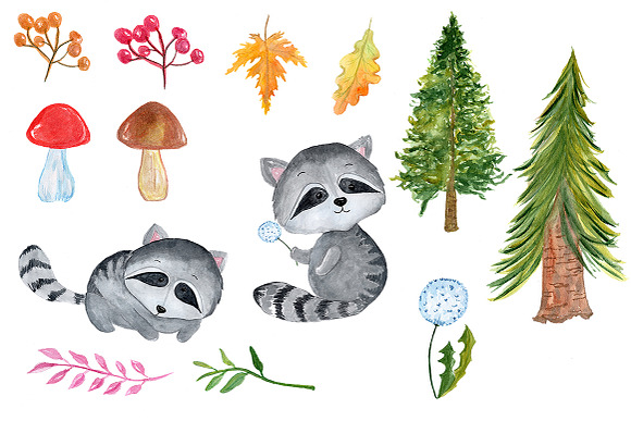 Watercolour forest animals clipart  in Illustrations - product preview 2