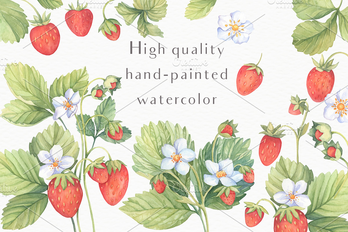 SALE! Sweet Watercolor Strawberry in Illustrations - product preview 8