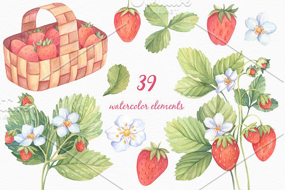 SALE! Sweet Watercolor Strawberry in Illustrations - product preview 1