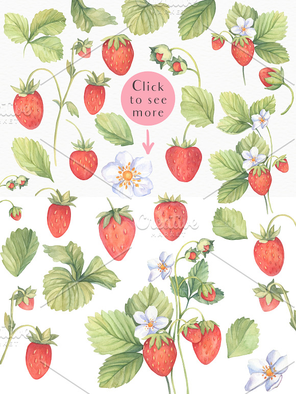 SALE! Sweet Watercolor Strawberry in Illustrations - product preview 2