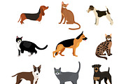 Cats and dogs vector illustration