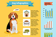 Dog infographics