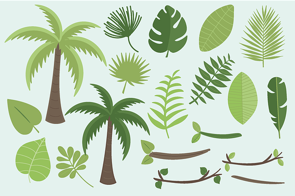 Tropical in Illustrations - product preview 2