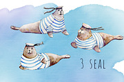 Seals watercolor