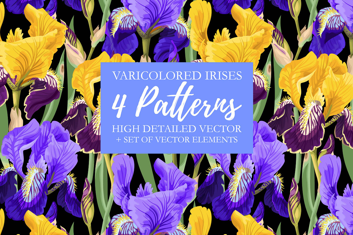Iris Patterns in Patterns - product preview 8