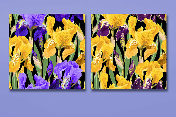 Iris Patterns in Patterns - product preview 1