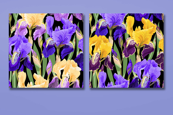Iris Patterns in Patterns - product preview 2