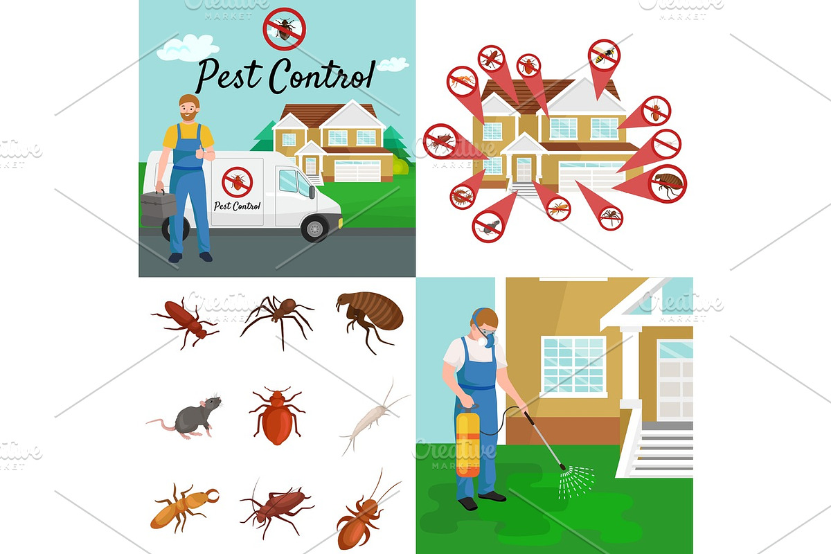 Pest control concept with insects exterminator silhouette flat vector illustration in Illustrations - product preview 8