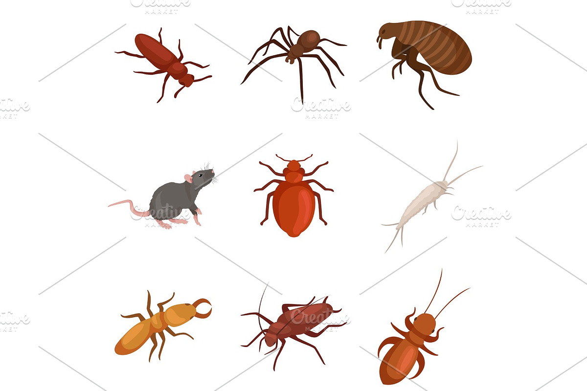 Pest control concept with insects exterminator silhouette flat vector illustration in Illustrations - product preview 8