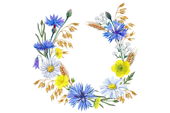 Summer flowers in Illustrations - product preview 1