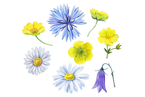 Summer flowers in Illustrations - product preview 5