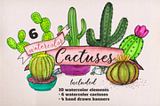 6 Watercolor Cactuses