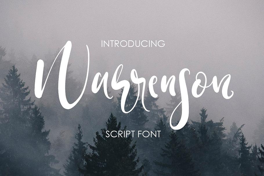 Warrenson Script Font in Script Fonts - product preview 8