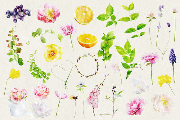 Watercolor Flowers in Illustrations - product preview 1