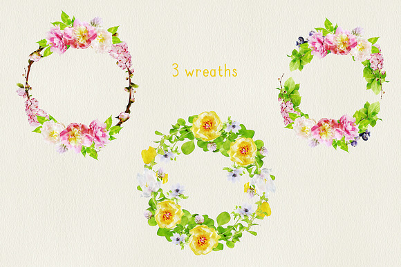 Watercolor Flowers in Illustrations - product preview 3