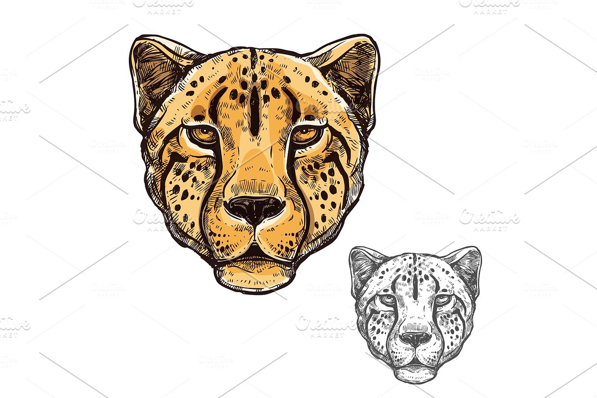 Cheetah muzzle African wild animal vector icon in Illustrations - product preview 8