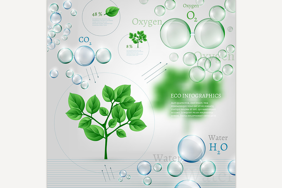 Bio Infographics in Illustrations - product preview 8