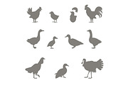 Farm animals. Silhouettes of chickens.