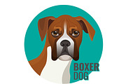 Boxer dog full length vector illustration isolated on white