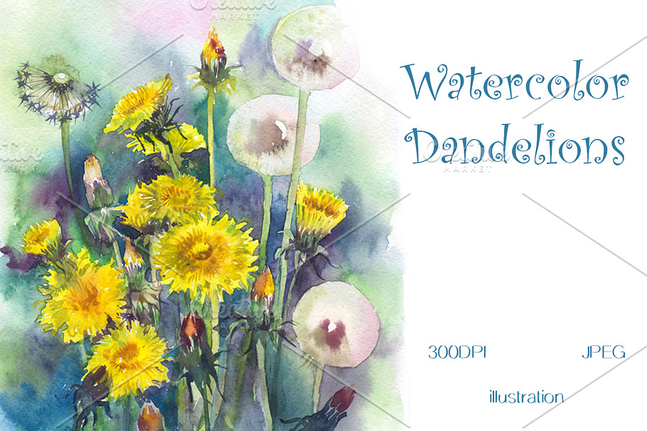 SALE! Watercolor Dandelions in Illustrations - product preview 8