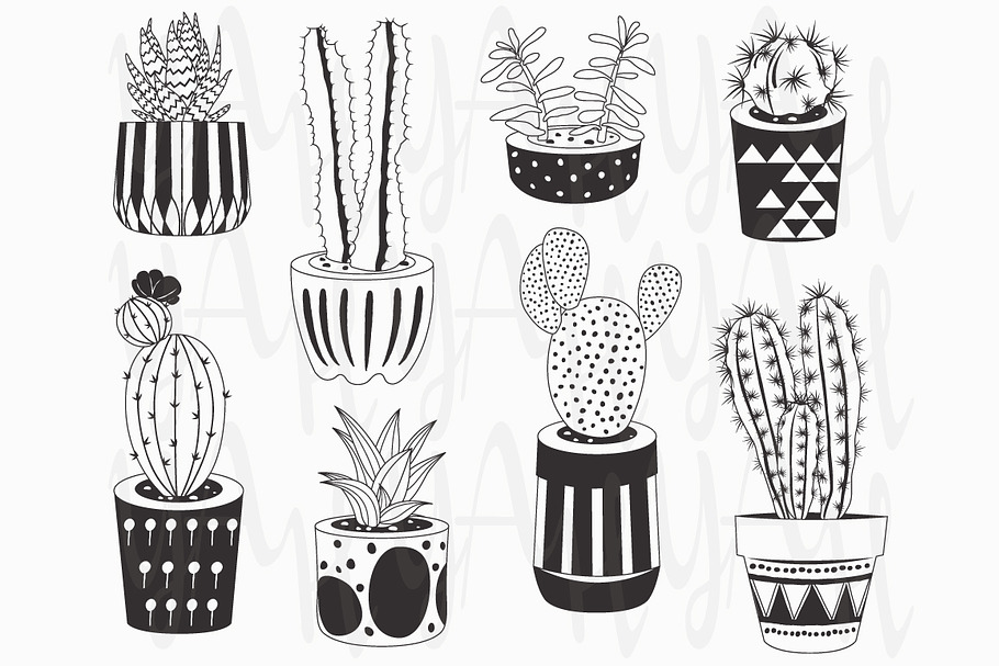 Hand draw Chalkboard Cactuses potted