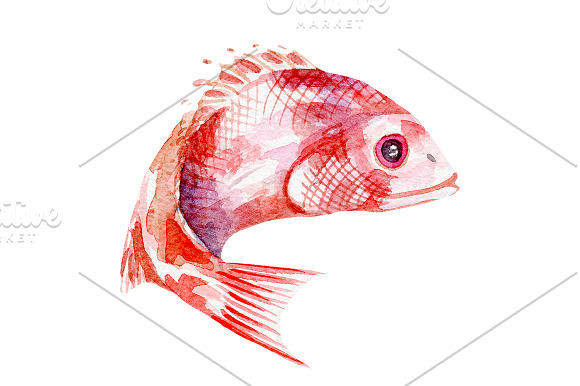Watercolor seafood set in Illustrations - product preview 1