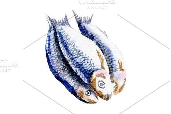 Watercolor seafood set in Illustrations - product preview 2