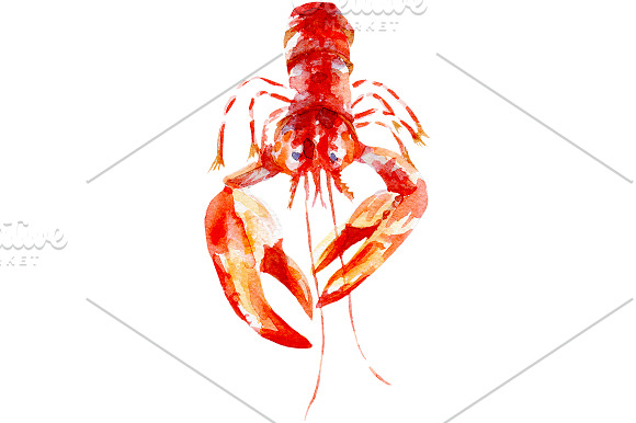Watercolor seafood set in Illustrations - product preview 3