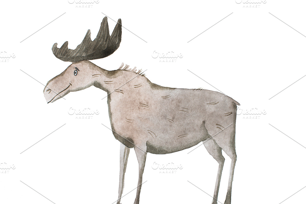 Aquarelle illustration of smiling moose or elk on white background in Illustrations - product preview 8