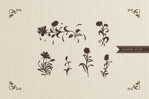 Floral Brushes Illustrator Set in Photoshop Brushes - product preview 2