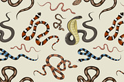 Snake set pattern