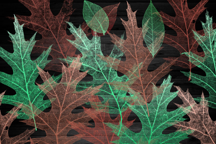 Mint and Coral Skeleton Leaf Clipart