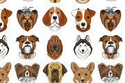 illustration of different dogs breed