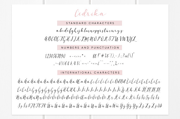 Cedrika script font in Script Fonts - product preview 6