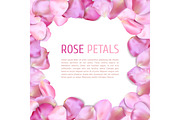 Rose petals frame