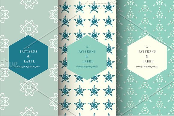 Seamless patterns and label in Patterns - product preview 2