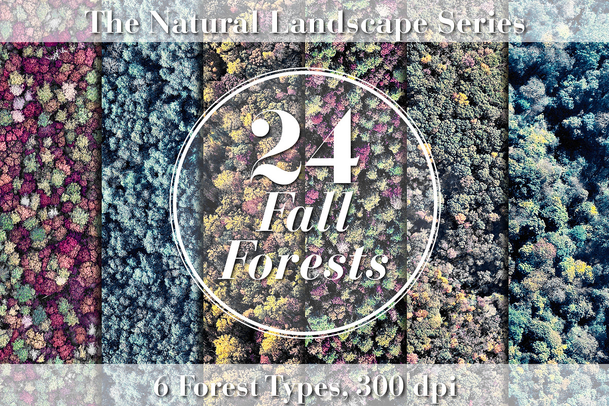 24 Fall Forests in Textures - product preview 8