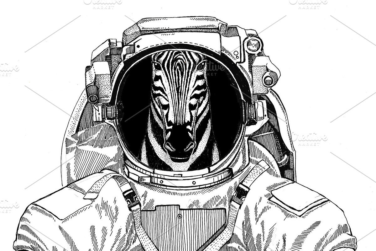 Zebra Horse wearing space suit Wild animal astronaut Spaceman Galaxy exploration Hand drawn illustration for t-shirt in Illustrations - product preview 8