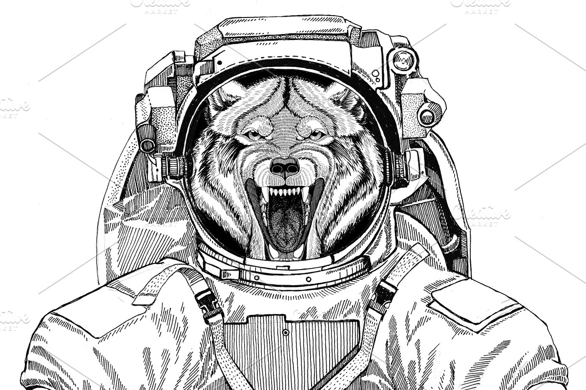 Wolf Dog Wild animal wearing space suit Wild animal astronaut Spaceman Galaxy exploration Hand drawn illustration for t-shirt in Illustrations - product preview 8