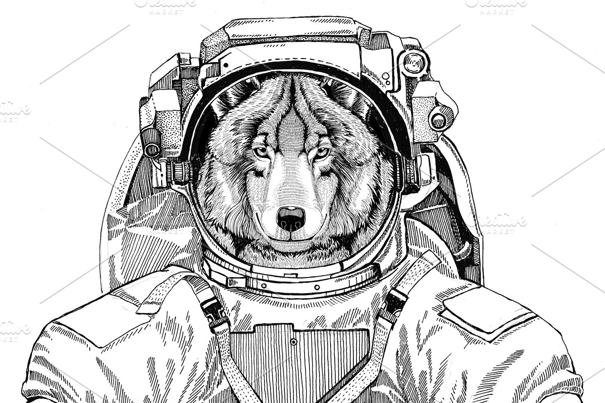 Wolf Dog wearing space suit Wild animal astronaut Spaceman Galaxy exploration Hand drawn illustration for t-shirt in Illustrations - product preview 8