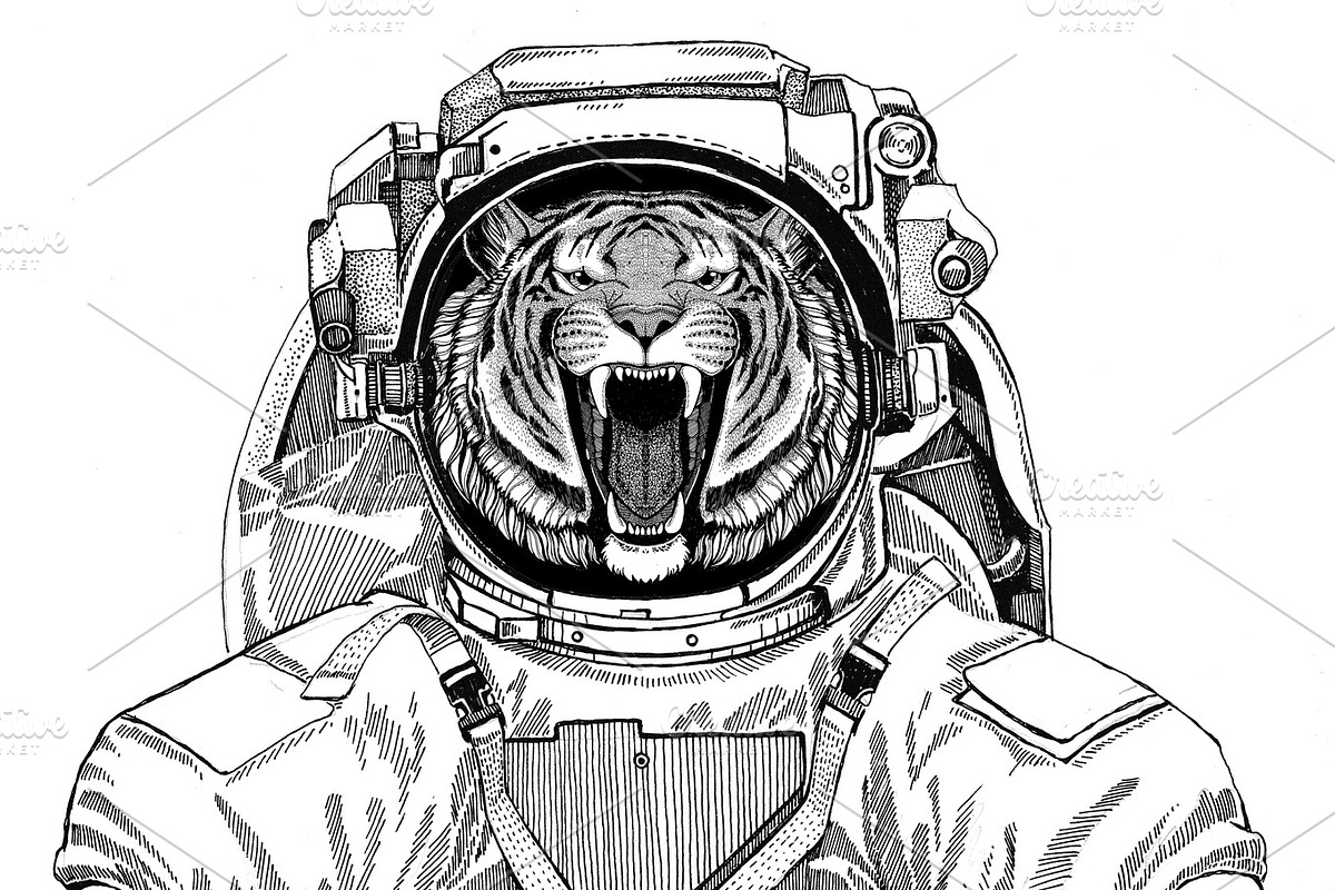 Wild tiger wearing space suit Wild animal astronaut Spaceman Galaxy exploration Hand drawn illustration for t-shirt in Illustrations - product preview 8