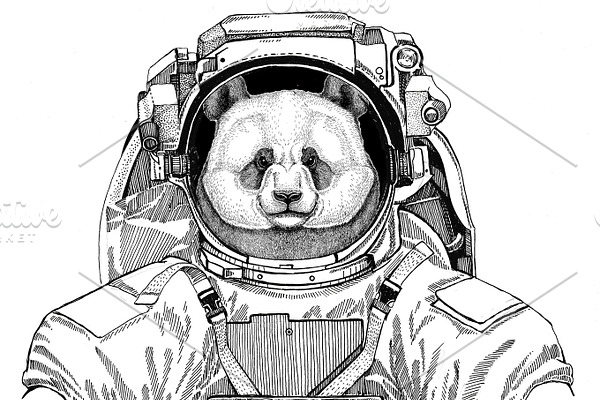 Panda bear, bamboo bear wearing space suit Wild animal astronaut Spaceman Galaxy exploration Hand drawn illustration for t-shirt