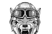 Wolf Dog Wild animal Aviator, biker, motorcycle Hand drawn illustration for tattoo, emblem, badge, logo, patch