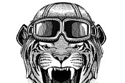 Wild tiger Aviator, biker, motorcycle Hand drawn illustration for tattoo, emblem, badge, logo, patch