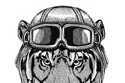 Wild tiger Aviator, biker, motorcycle Hand drawn illustration for tattoo, emblem, badge, logo, patch