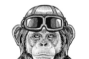 Chimpanzee Monkey Aviator, biker, motorcycle Hand drawn illustration for tattoo, emblem, badge, logo, patch