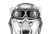 Polar bear wearing leather helmet Aviator, biker, motorcycle Hand drawn illustration for tattoo, emblem, badge, logo, patch