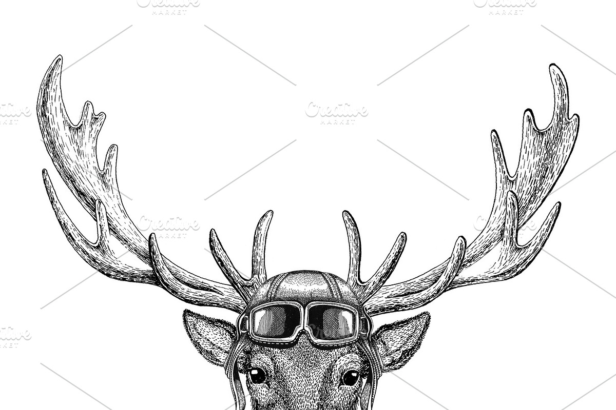 Deer wearing leather helmet Aviator, biker, motorcycle Hand drawn illustration for tattoo, emblem, badge, logo, patch in Illustrations - product preview 8